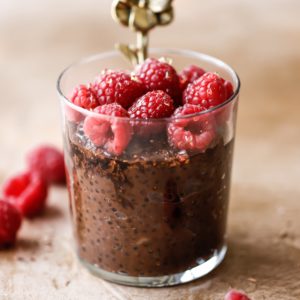 Chocolate raspberry Tapioca pudding