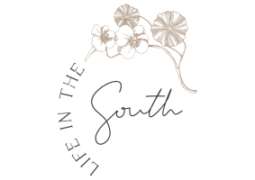 Life in the South - Logo Web