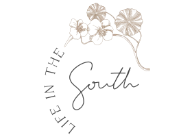 Life in the South - Logo Web