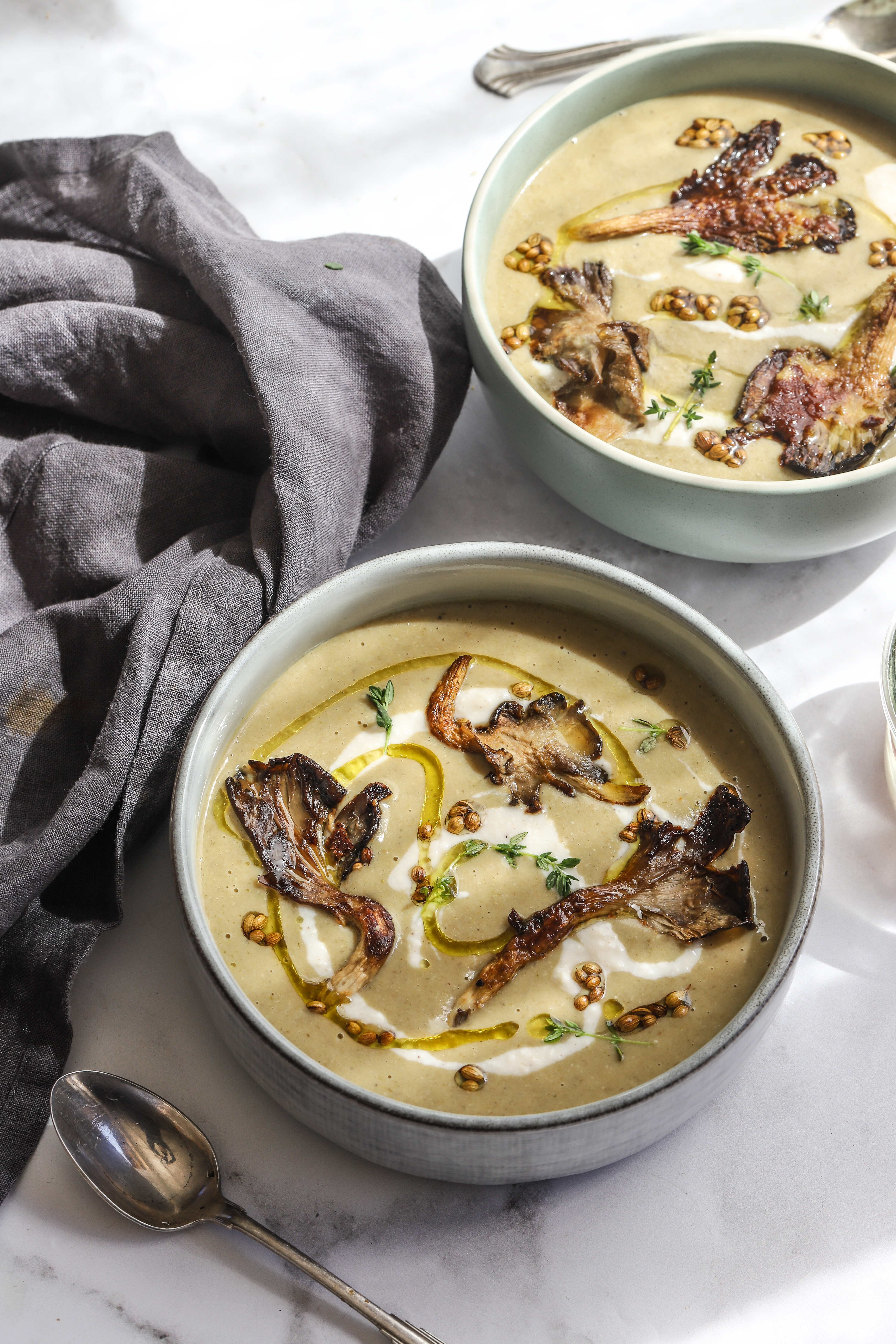 Mushroom biltong soup